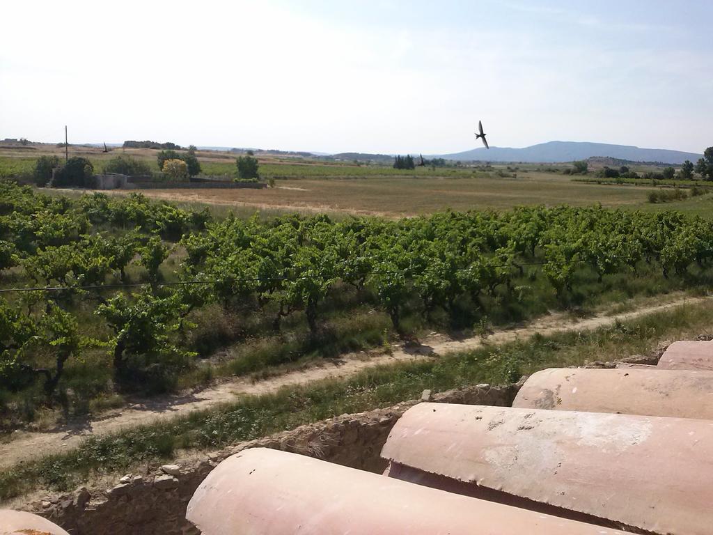 Laure-Minervois Chambre D'Hotes Le Massanous חדר תמונה